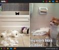  GALERIE - Kočky vs toaletní papír 