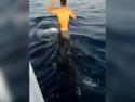  Surfování na žraloku obrovském       