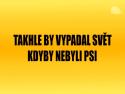  Co by bylo, kdyby nebyli psi 