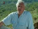         David Attenborough o přelidnění       