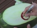 Borec - Vodní meloun - Vyřezávání
