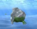 Bubblefish - Animace