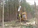 Technika – těžba dřeva pomocí stroje