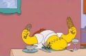 Simpsonovi - Homer a moucha