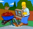 Simpsonovi - Homer staví gril