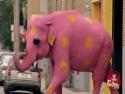 Nachytávka - Růžový slon