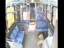 Autobus vs srnka