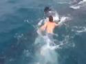 Mladík se povozil na žraloku