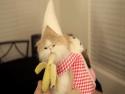 Kočička jí banán
