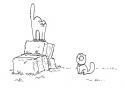 Kočičí námluvy - animace