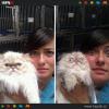 GALERIE - Kočky nesnášejí veterinu