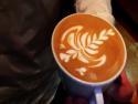 Úžasné latté umění Úžasné latté umění