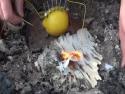 Jak rozdělat oheň pomocí citrónu