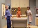 Garfield na veterině - Robot Chicken