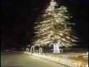 Úžasně osvětlený vánoční strom