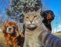 GALERIE - Nejlepší selfie zvířat 1