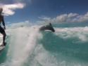 Surfování s delfíny