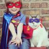       GALERIE – Superhrdinské kočky      