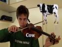 Imituje zvuky zvířat na houslích