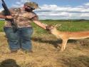       Bambi přišel pozdravit lovce      