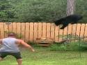     Medvěd na plotě    