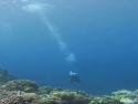       Dramatický okamžik potápěčů v Indonésii      