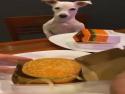     Malý pes, malý hamburger    