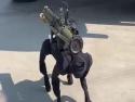     Čína vytváří armádu robotických psů  