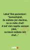     OBRÁZKY – Naše MEME #1900    