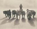       GALERIE - 10 raritních historických fotek      