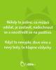OBRÁZKY – Naše MEME #2216 OBRÁZKY – Naše MEME #2216