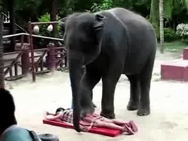 Sloní masáž