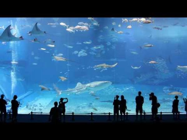 2. největší akvárium světa