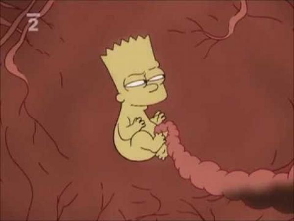 Simpsonovi - Bárt machr