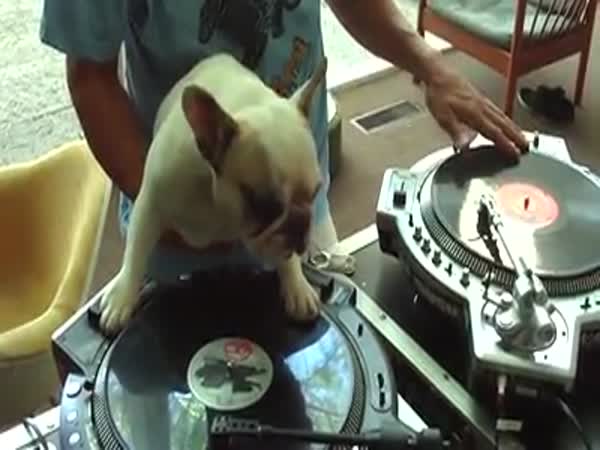 Pes DJ