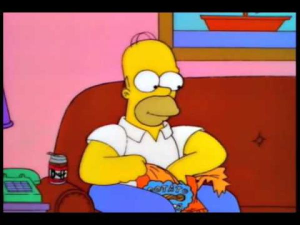 Simpsonovi - Homer a štěnata