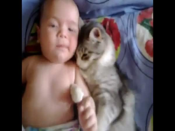Kočka se tulí s miminkem