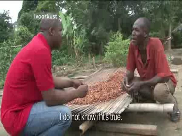 Farmáři poprvé jedí čokoládu