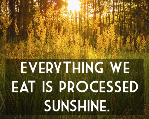     GALERIE – Fakta, která vám změní pohled na lidstvo    