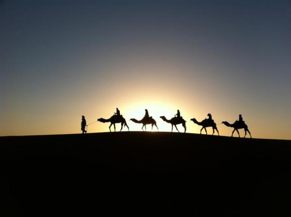       GALERIE – Nádherné fotografie siluet      