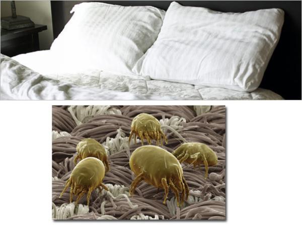     Děsivé věci z každodenního života    