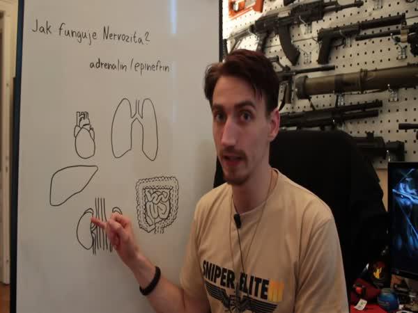     Vědecké kladivo – Nervozita    