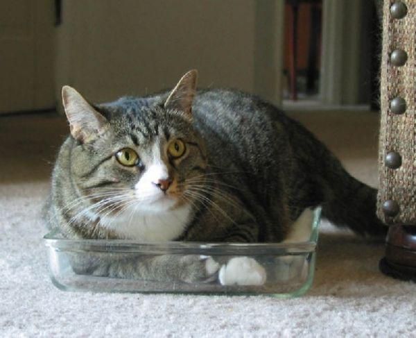       GALERIE – Nejpodivnější místa, kde lze odpočívat      