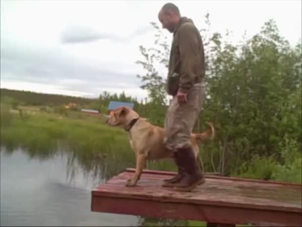       Fail – „inteligentní“ lidé