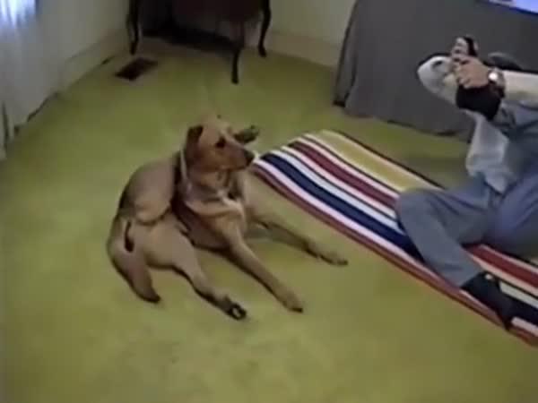     Cvičení se psem    