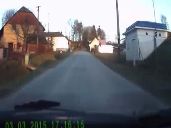       Česká republika – Venčení bernardýna      