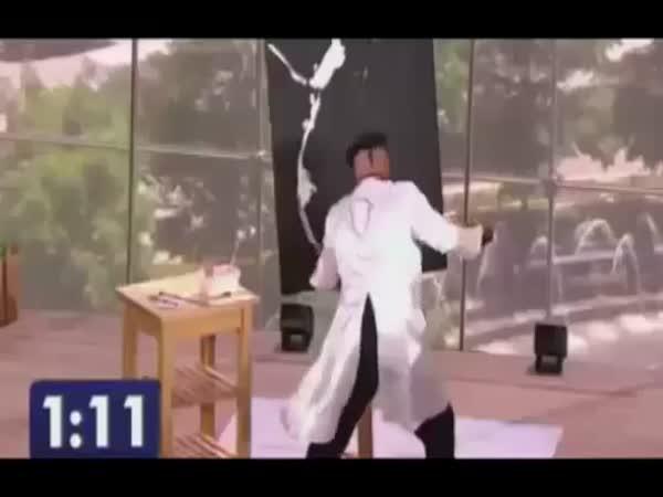       Nejrychlejší malíř      