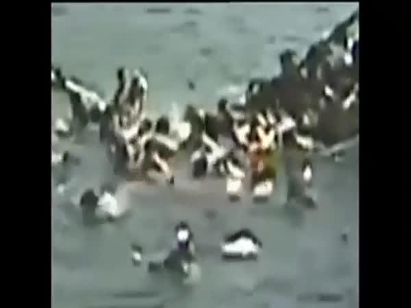       S turisty se propadl most      