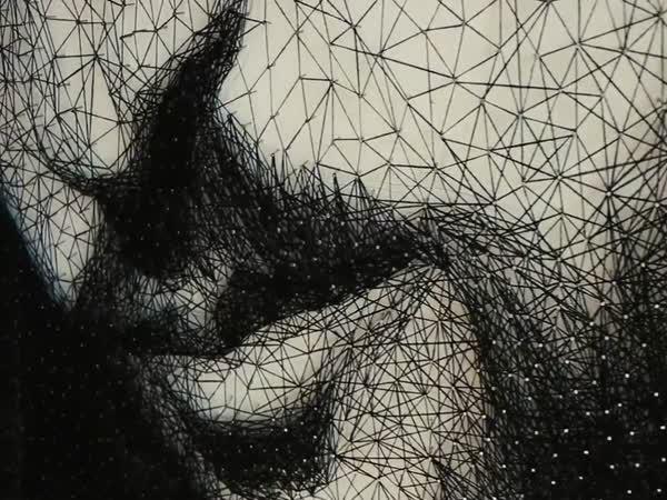       Talentovaný portrétista      