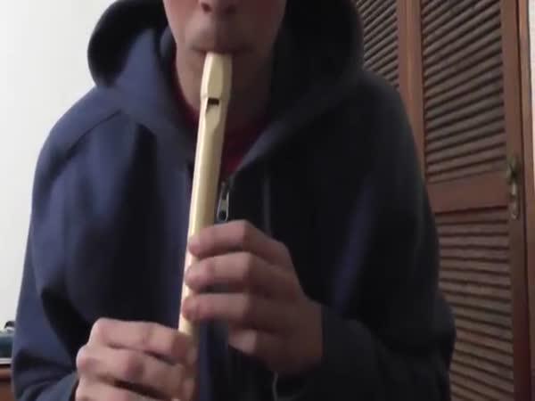 Beatbox na flétnu
